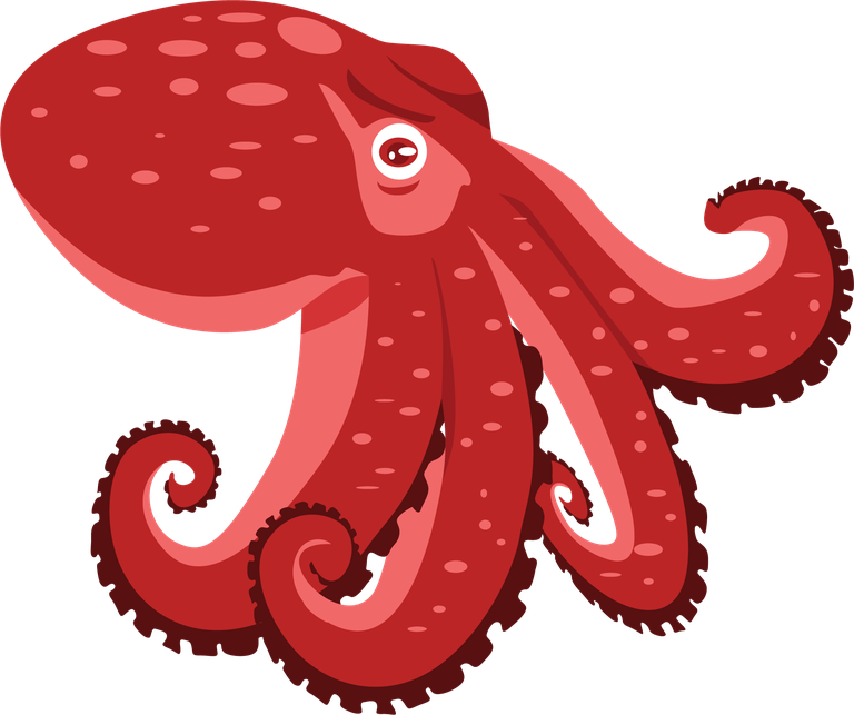 octopus marine animals common seafood in vibrant colors for culinary delights and more