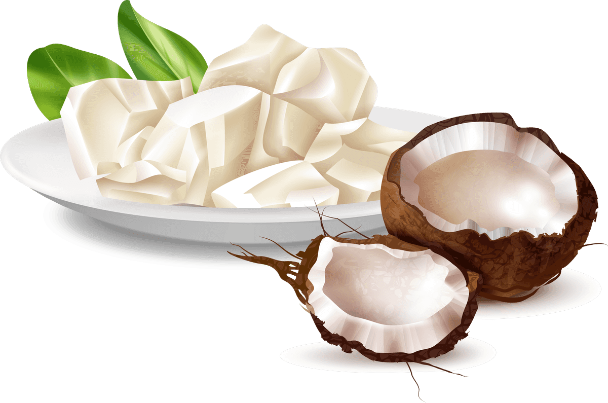 oil realistic oil product set showcasing fresh coconut oil with textured details and natural appeal