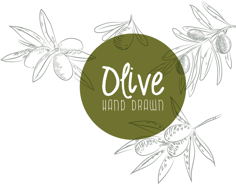 olive products advertising banner handdrawn flat decor