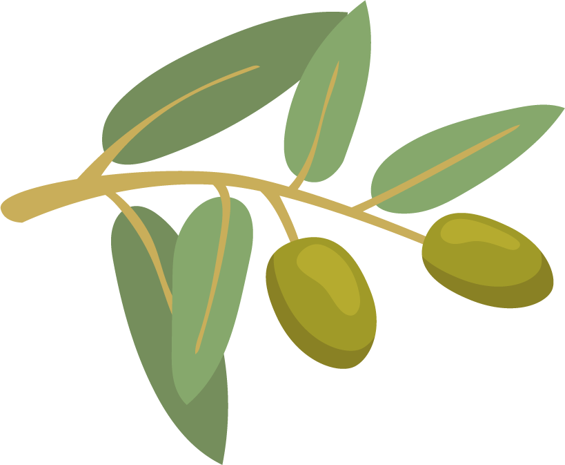 olive and olive product illustration