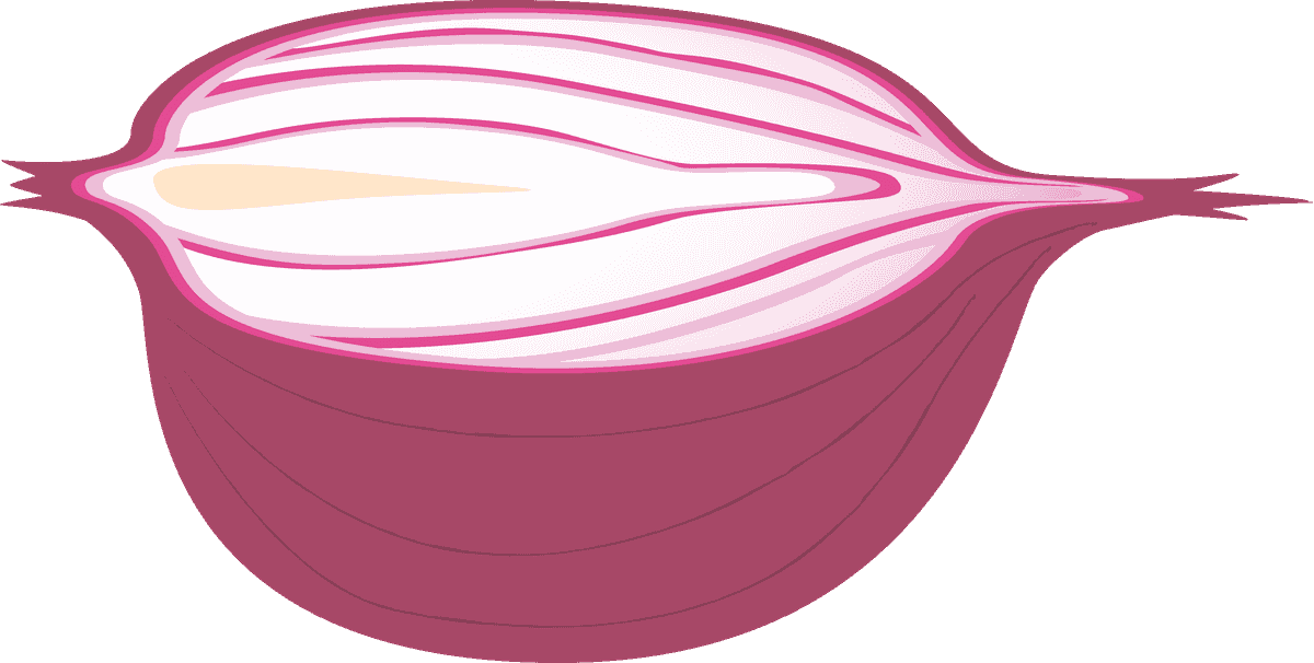 onion illustration business travel