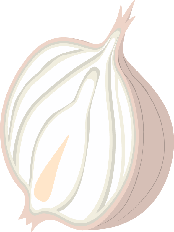 onion illustration business travel for culinary enthusiasts and food lovers