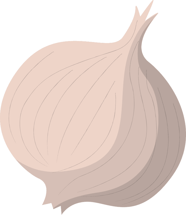 onion illustration business travel