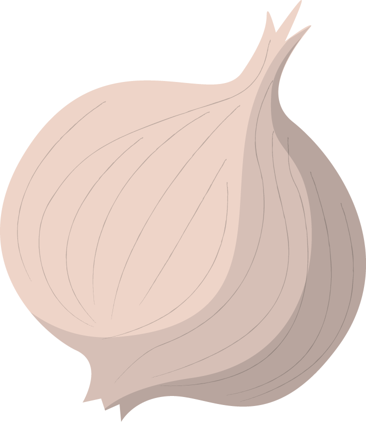 onion illustration business travel for culinary adventures and food industry