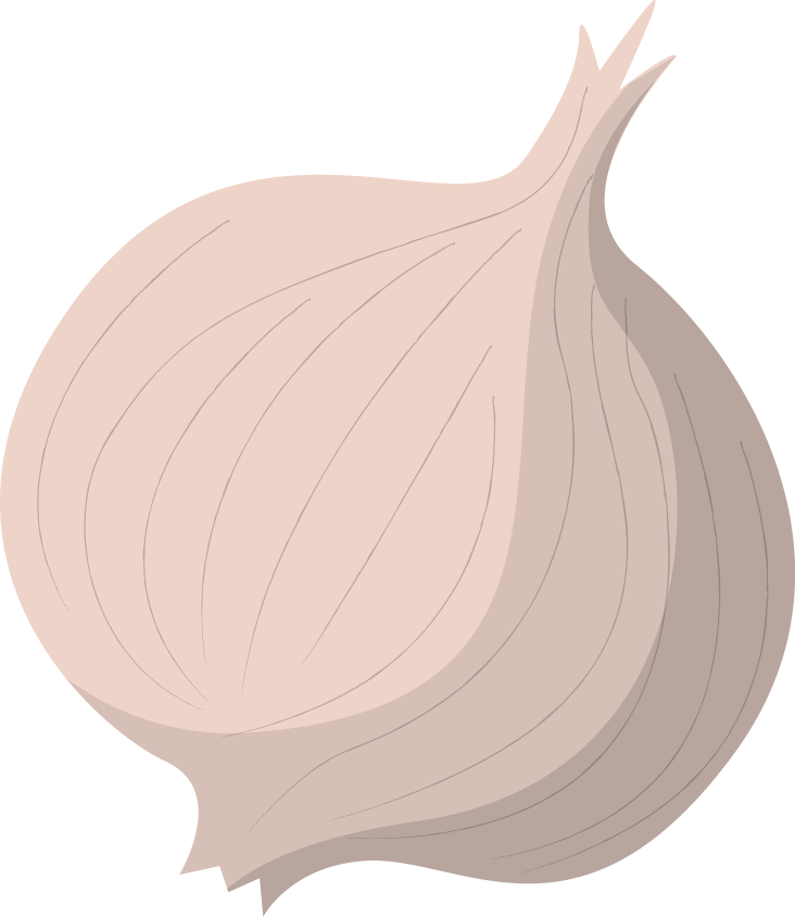 onion illustration business travel