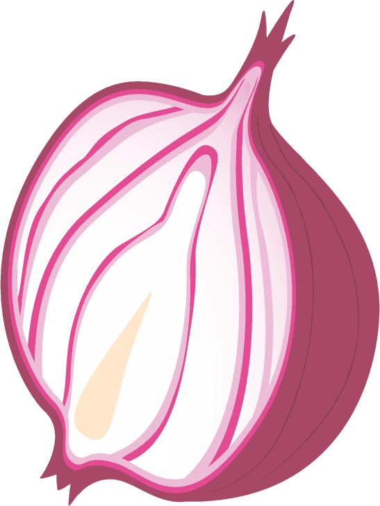 onion illustration business travel