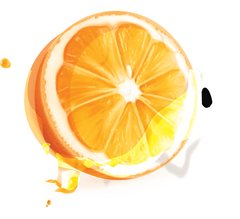 orange juice elements illustration