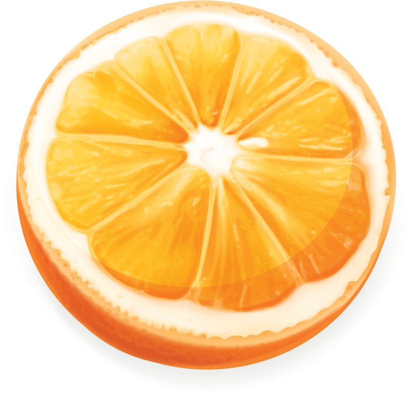orange juice elements illustration featuring a fresh orange slice with vibrant colors