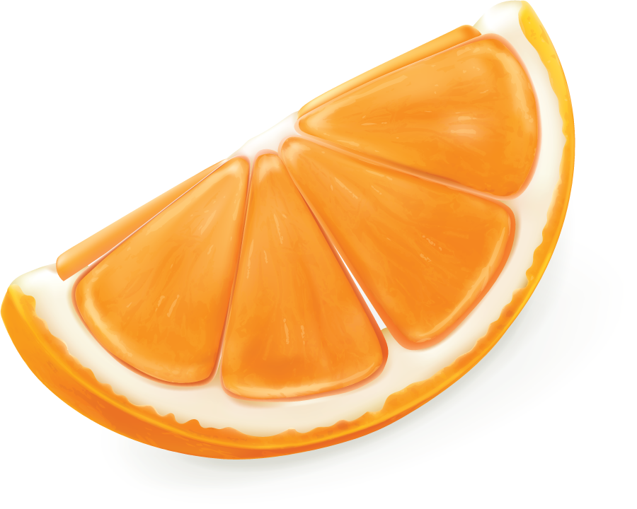 orange juice elements illustration