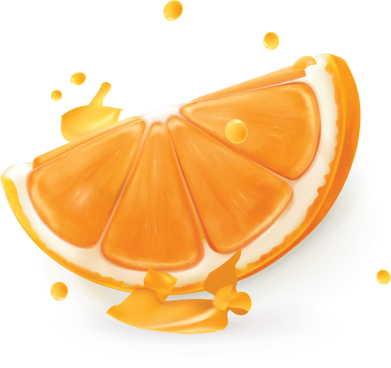 fresh orange juice elements illustration with vibrant colors and juicy details