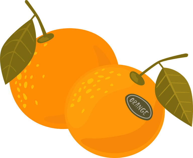 orange orange fruit icon kit featuring fresh and vibrant oranges with leaves for culinary use