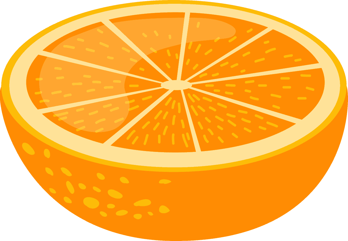 orange orange fruit icon kit for fresh and vibrant culinary branding and illustrations