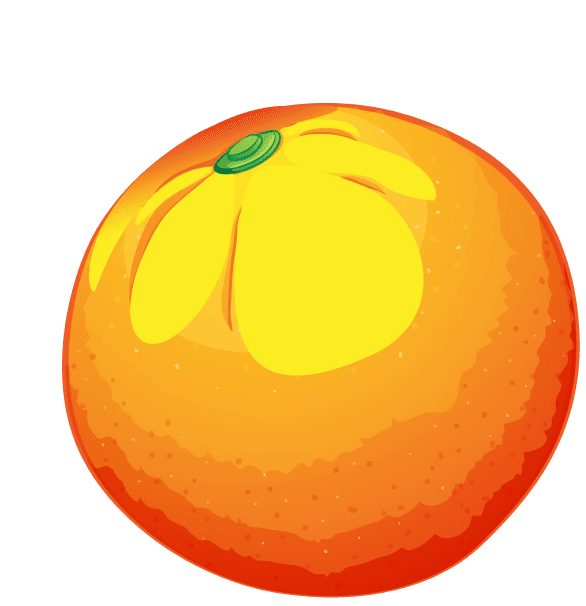 orange pile fresh vegetables fruits