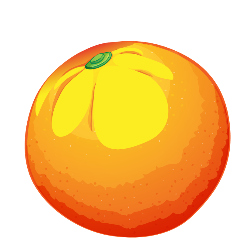 oranges and orange products illustration