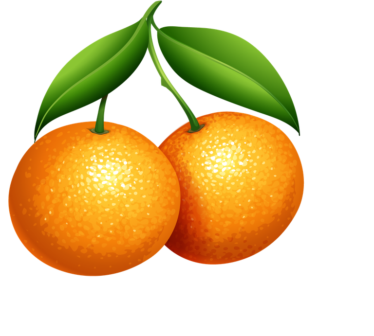 oranges and orange products illustration featuring vibrant colors and fresh textures for culinary uses