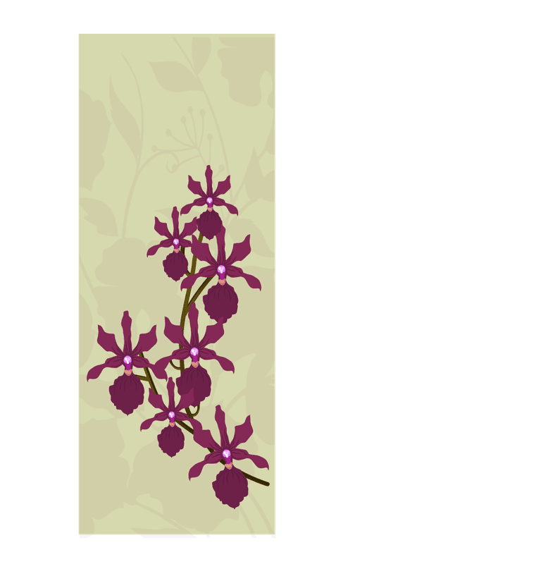 orchid background collection various shapes colored design