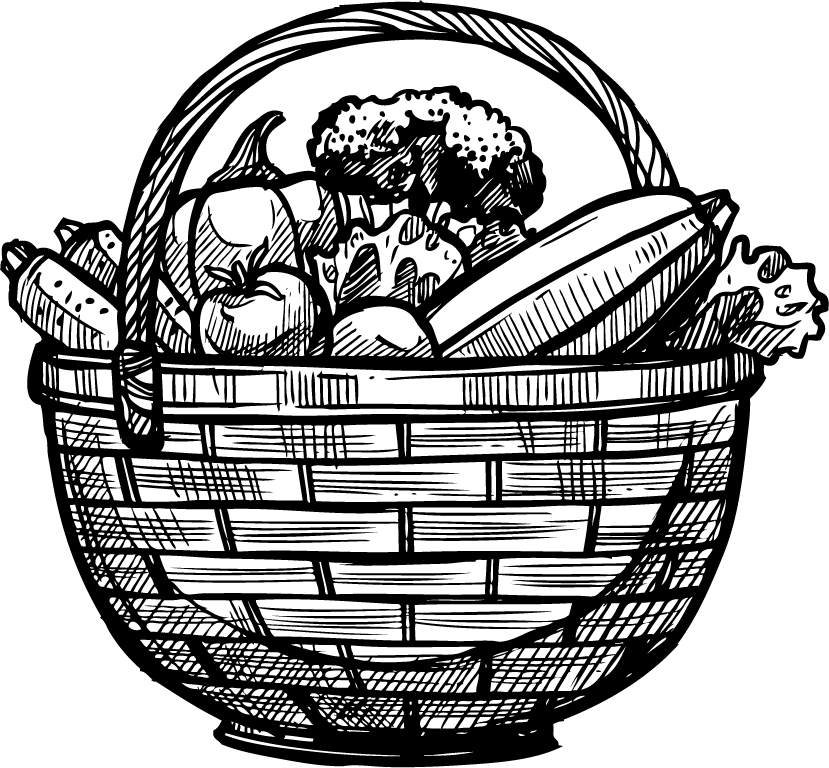 organic farm doodle sketch illustration of a basket filled with fresh vegetables and fruits