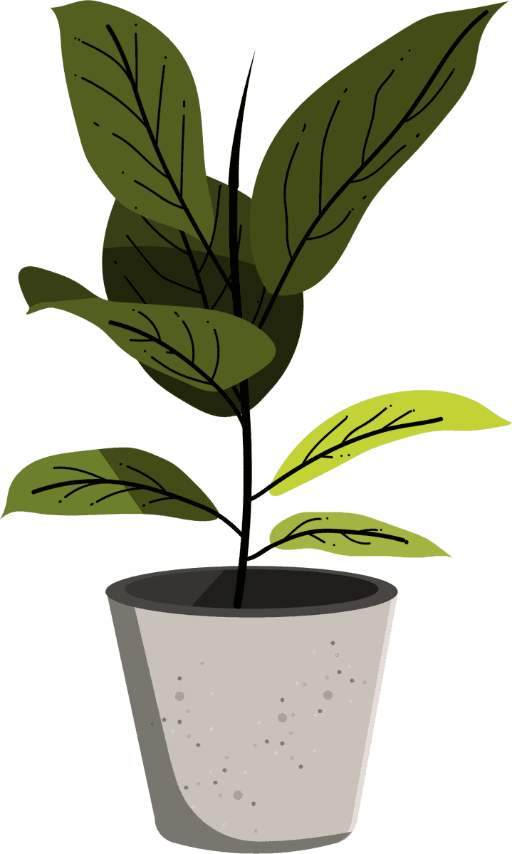 ornamental plants icons pot leaves decor