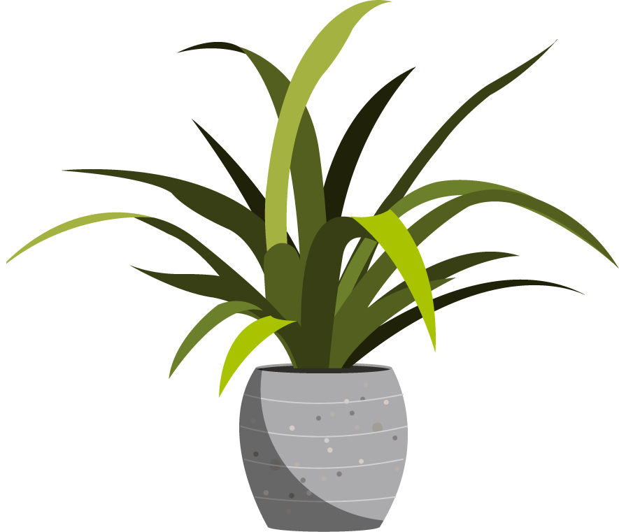 ornamental plants icons pot leaves decor