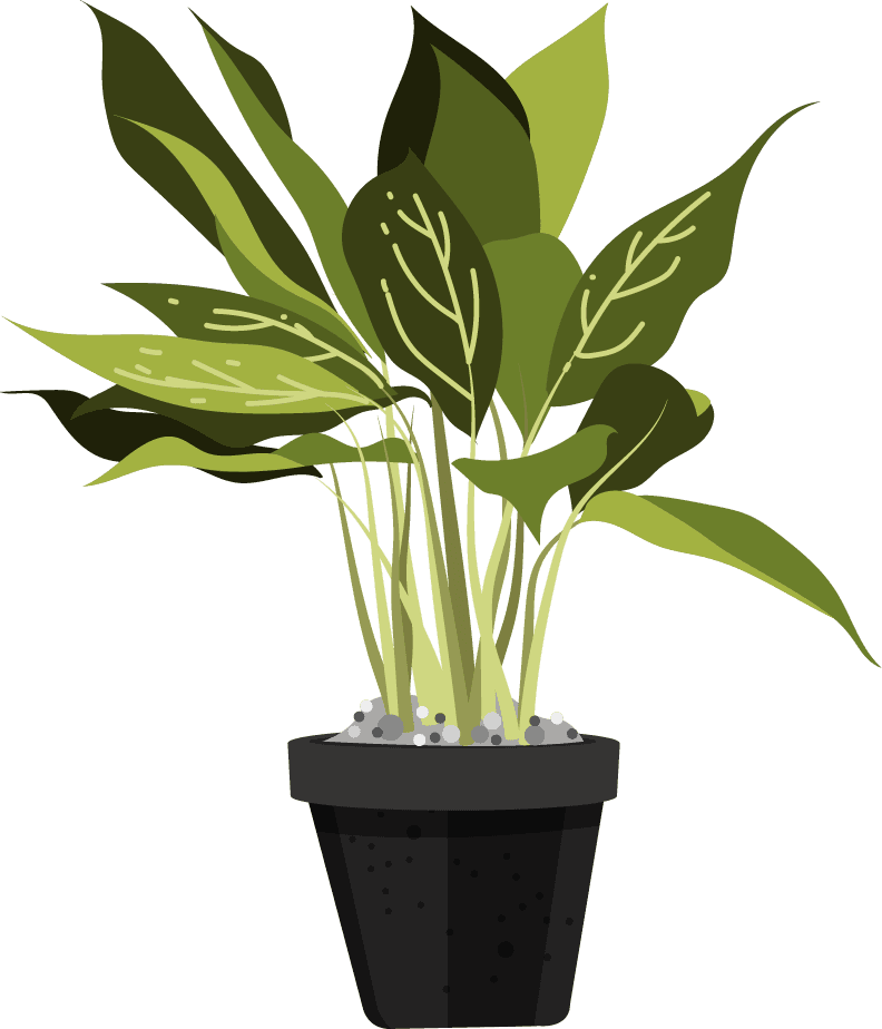 ornamental plants icons pot leaves decor