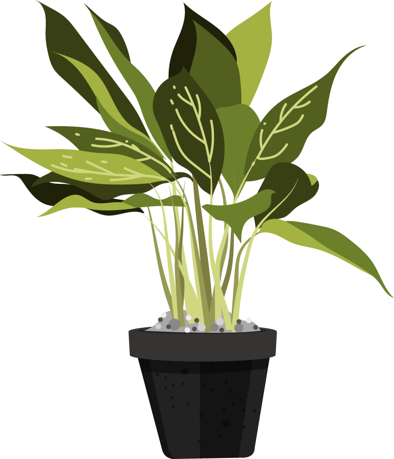 ornamental plants icons pot leaves decor
