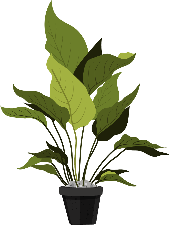 ornamental plants icons pot leaves decor