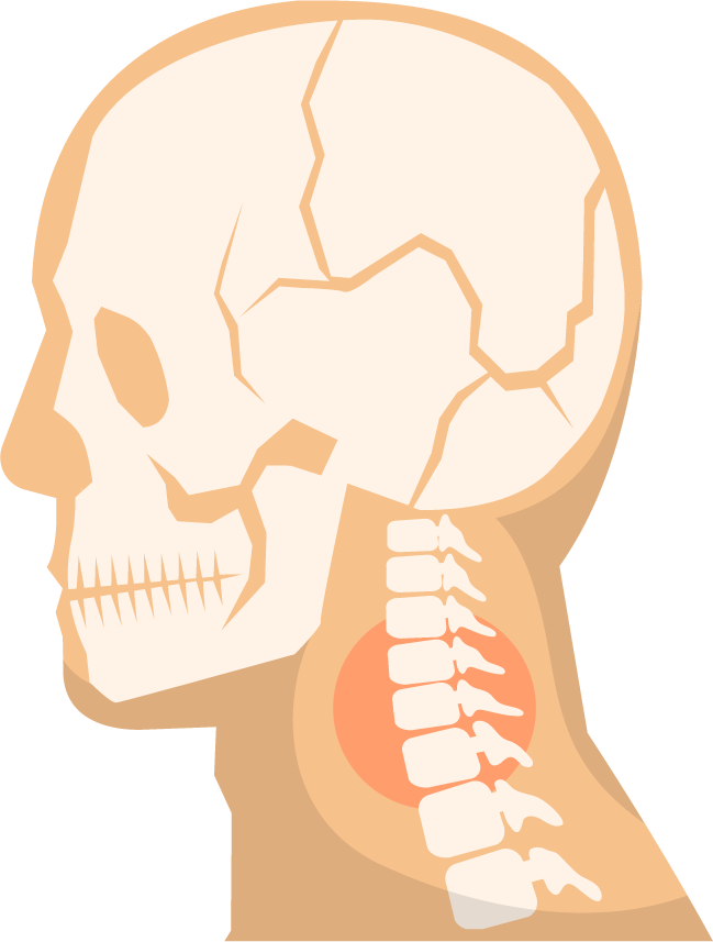 orthopedics color icons set illustrating human skeletal structure for educational purposes