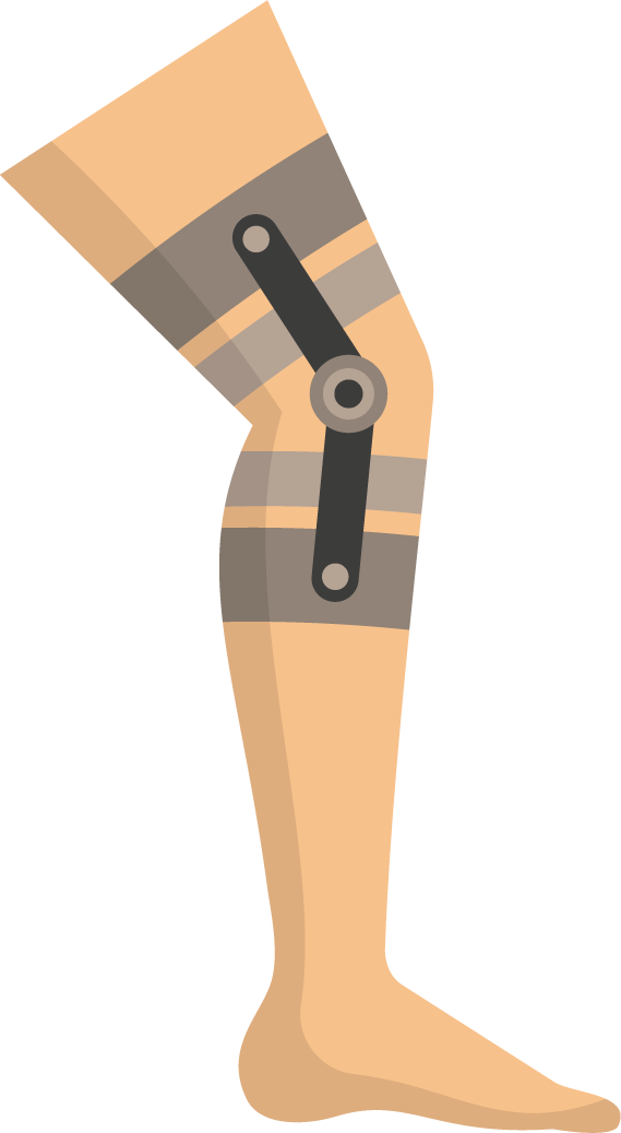 orthopedics color icons set for knee support and rehabilitation in medical practice