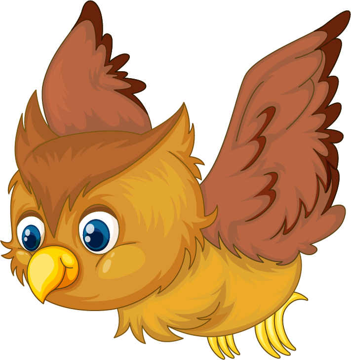 owl illustraiton of comical owl on white