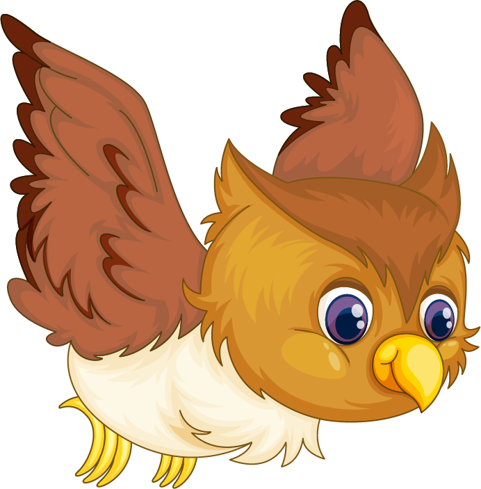 owl illustraiton of comical owl on white