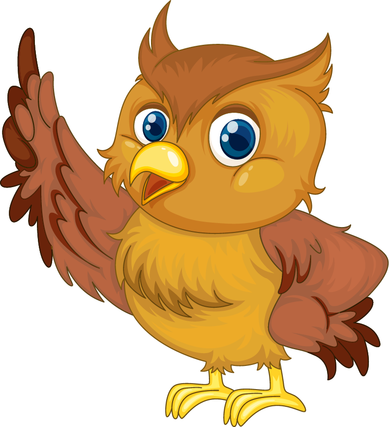 owl illustraiton of comical owl on white