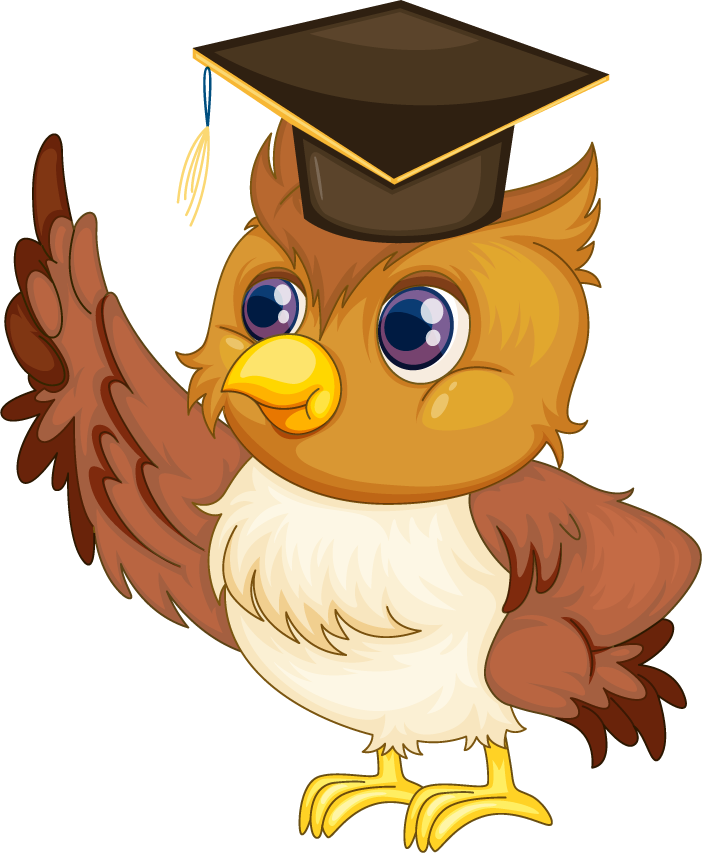 owl illustraiton of comical owl on white