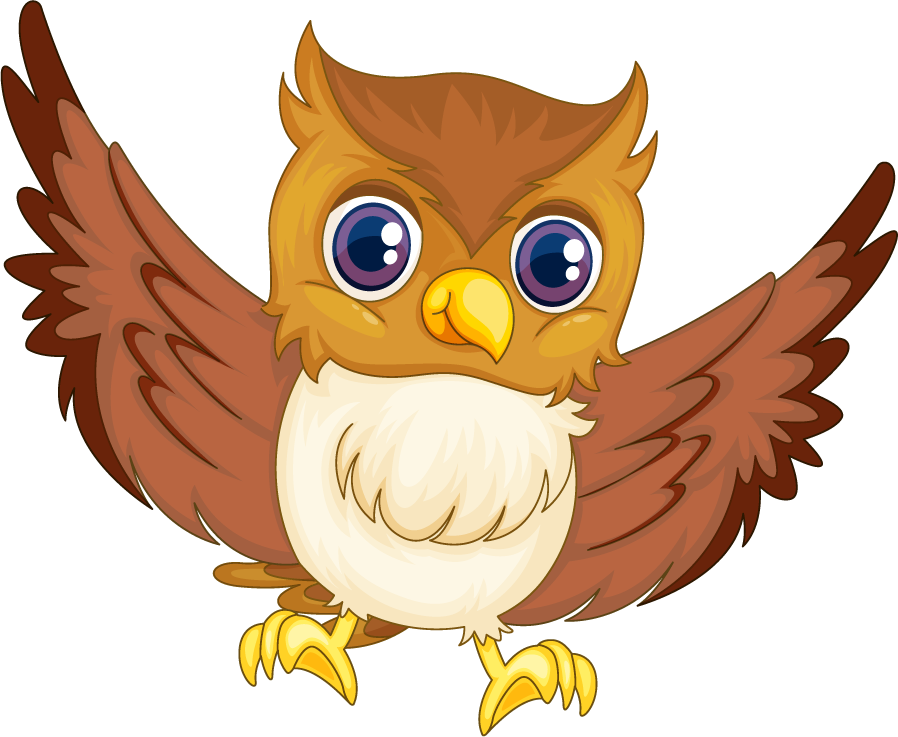 owl illustraiton of comical owl on white