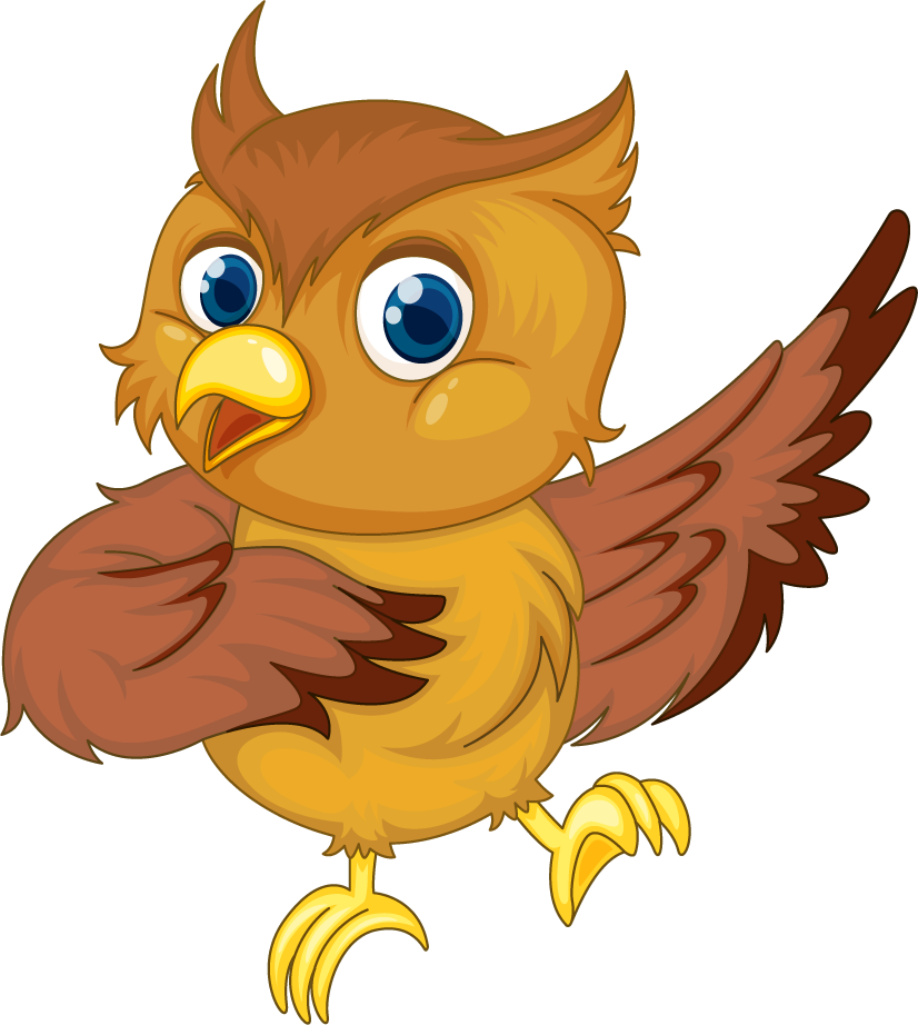 owl illustraiton of comical owl on white