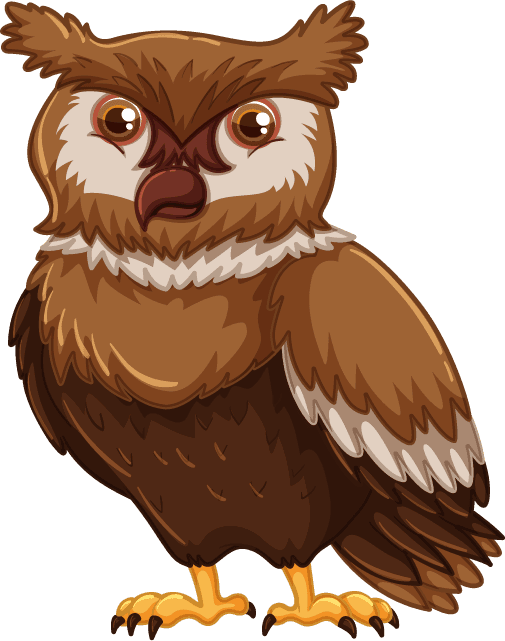 owl set diffrent birds cartoon style isolated white background
