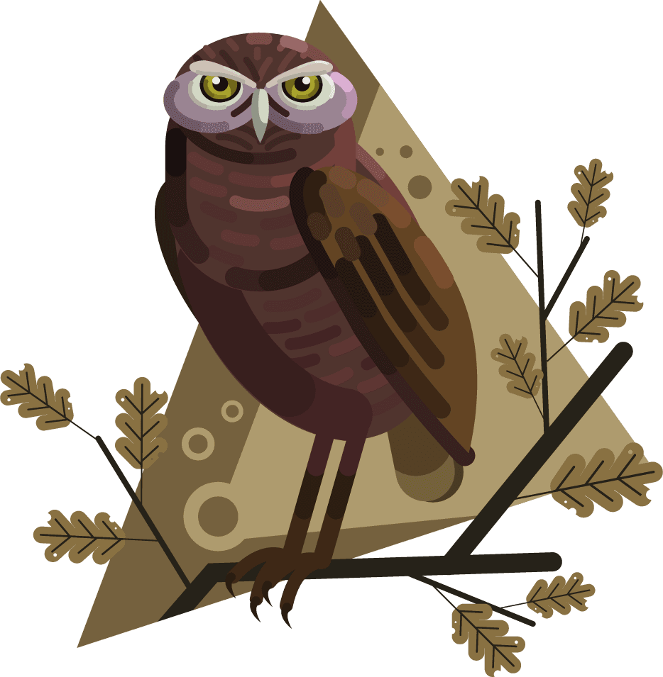 owls icons collection colored cartoon sketch