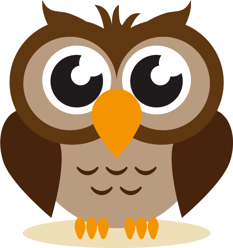 pack funny owls flat illustration for kids' education and playful decor