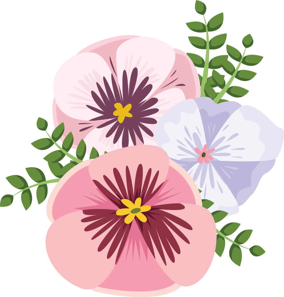 Illustration of colorful pansy flowers bouquet