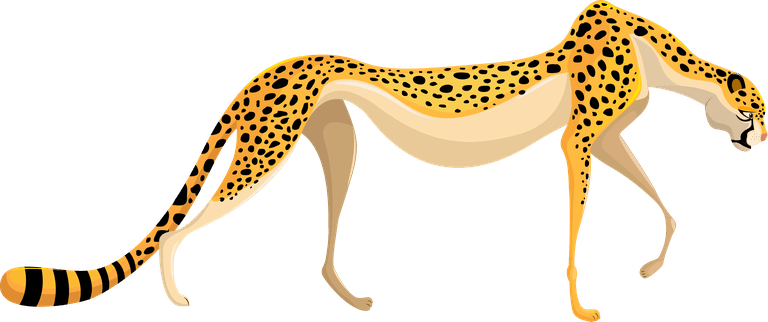 panther feline species icons tiger lion leopard panther sketch