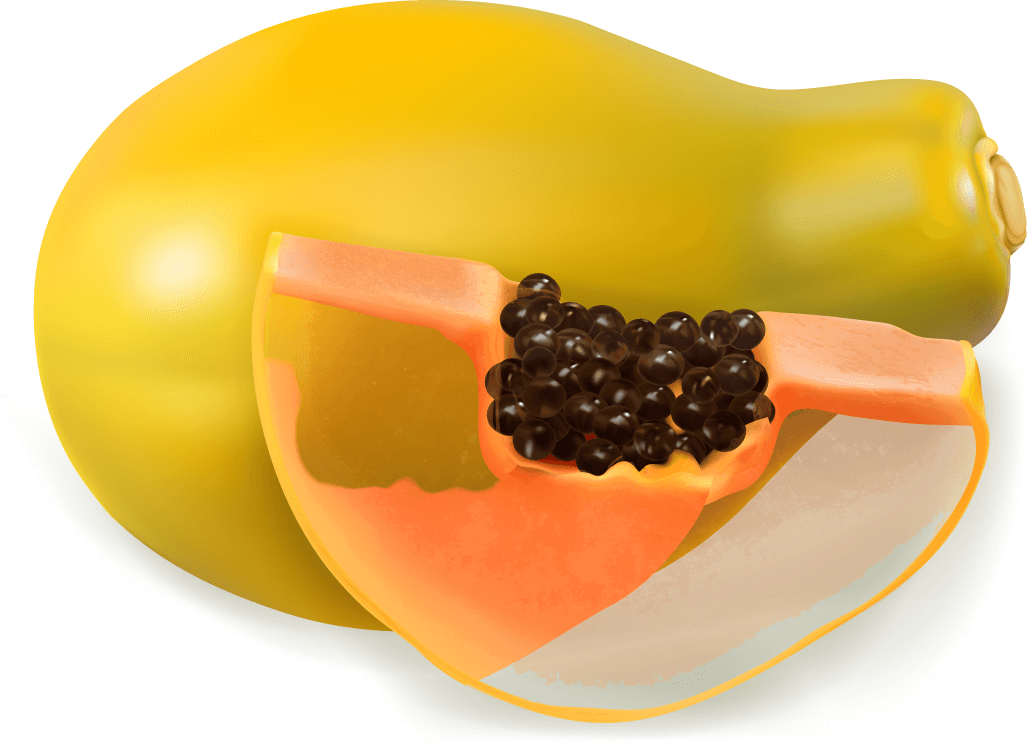 Papaya juice and splash vector