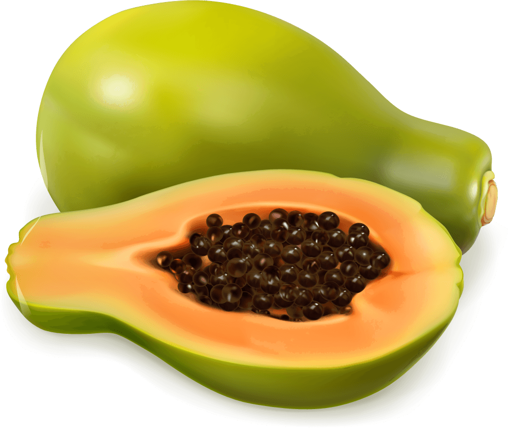 Papaya juice and splash vector