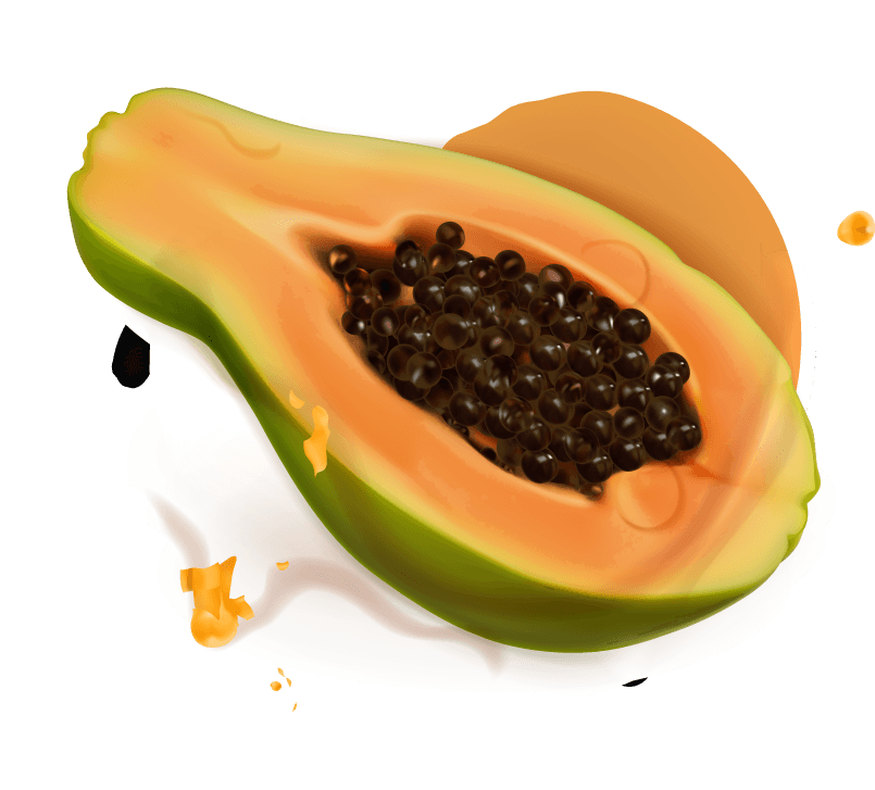 papaya juice and splash vector illustration for summer refreshment and healthy drinks