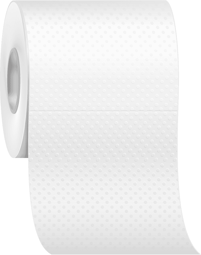 realistic paper towels toilet rolls for home renovation and cleaning supplies