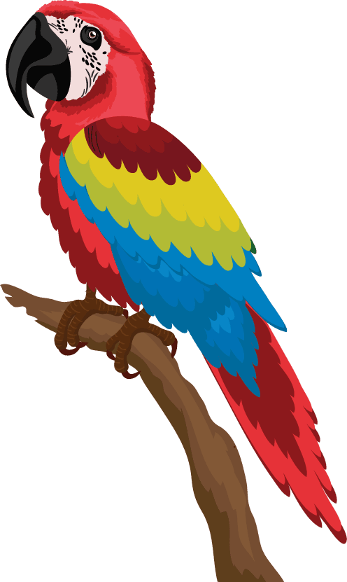 parrot birds species icons colorful sketch