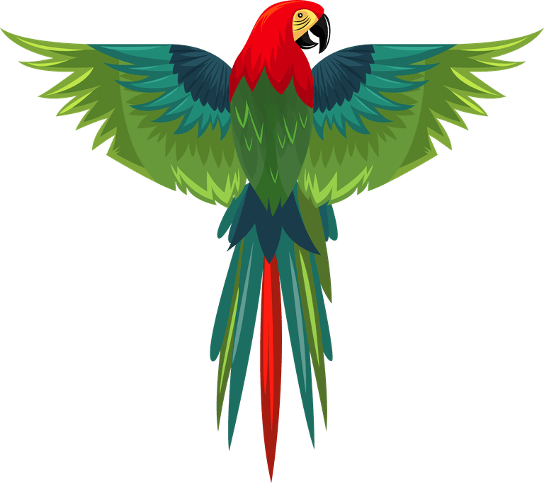 parrot parrot species icons colorful sketch flying perching gestures