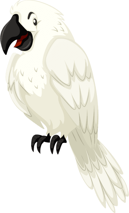 parrot set diffrent birds cartoon style isolated white background