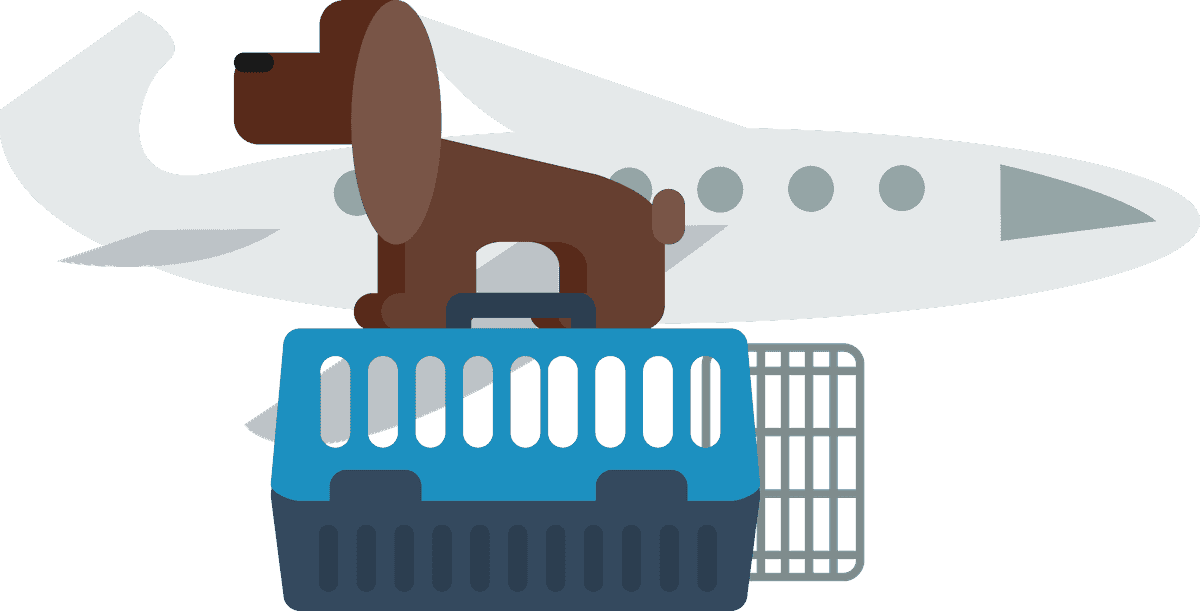 passenger transportation icon flat featuring a dog carrier and airplane for pet travel