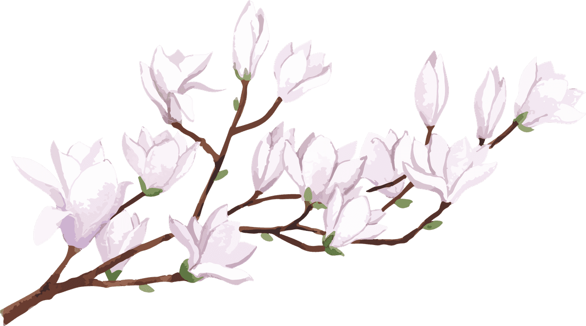 peach branch instagram template with floral elements for spring promotions and styling