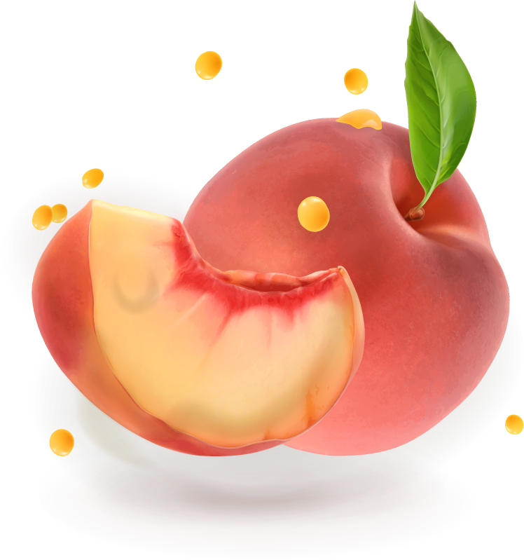 Peach juice and splash vector