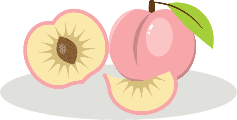 hand-dawn peach pink illustration